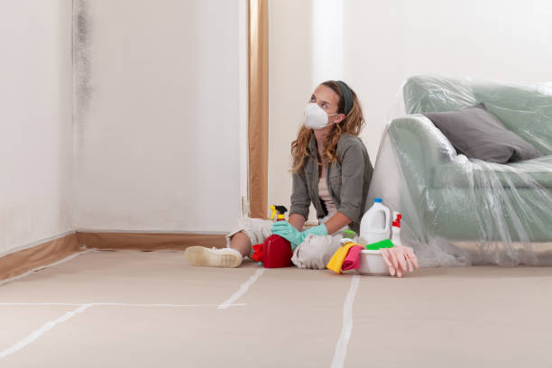 Reliable Black Mold Removal contractor in Munson, PA by WQB Mold Removal